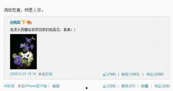网上娱乐圈爆料都是假的,真相与谣言的交织  第2张