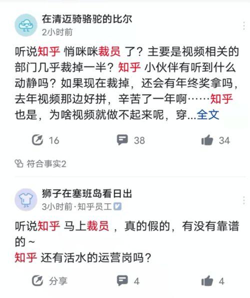 最新知乎爆料领导视频在线观看,最新知乎爆料视频在线观看，一睹领导真容  第1张